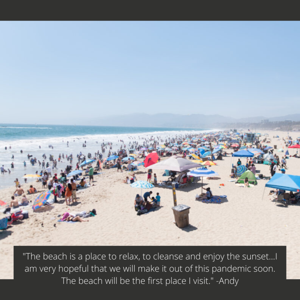 Crowded Summer Beach Scene